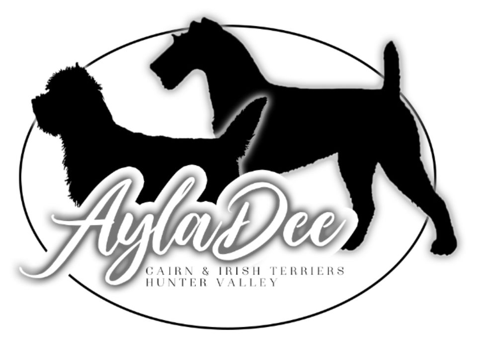 AylaDee- Cairn & Irish Terriers